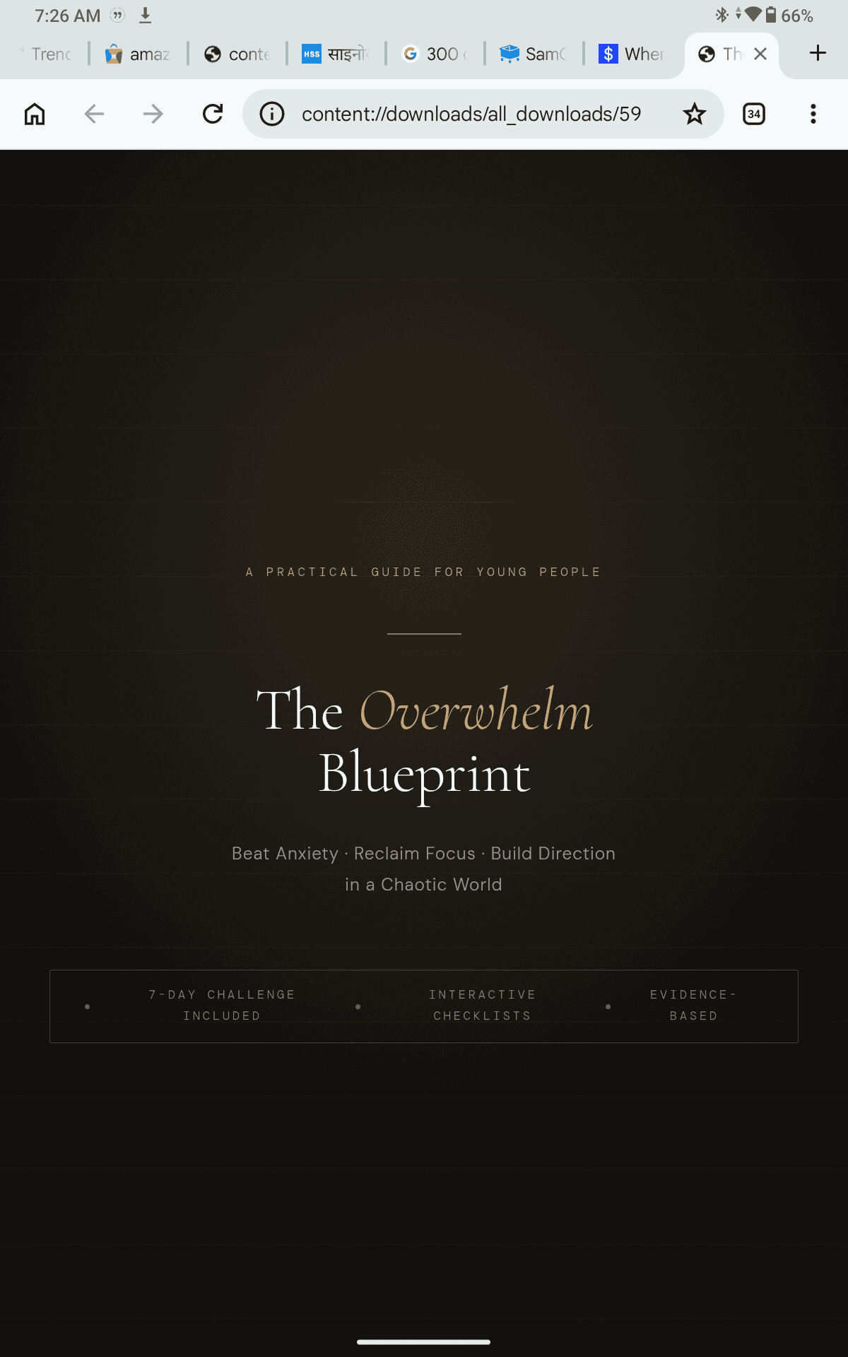 The overwhelm Blueprint ~ one and only Book 📚 you need